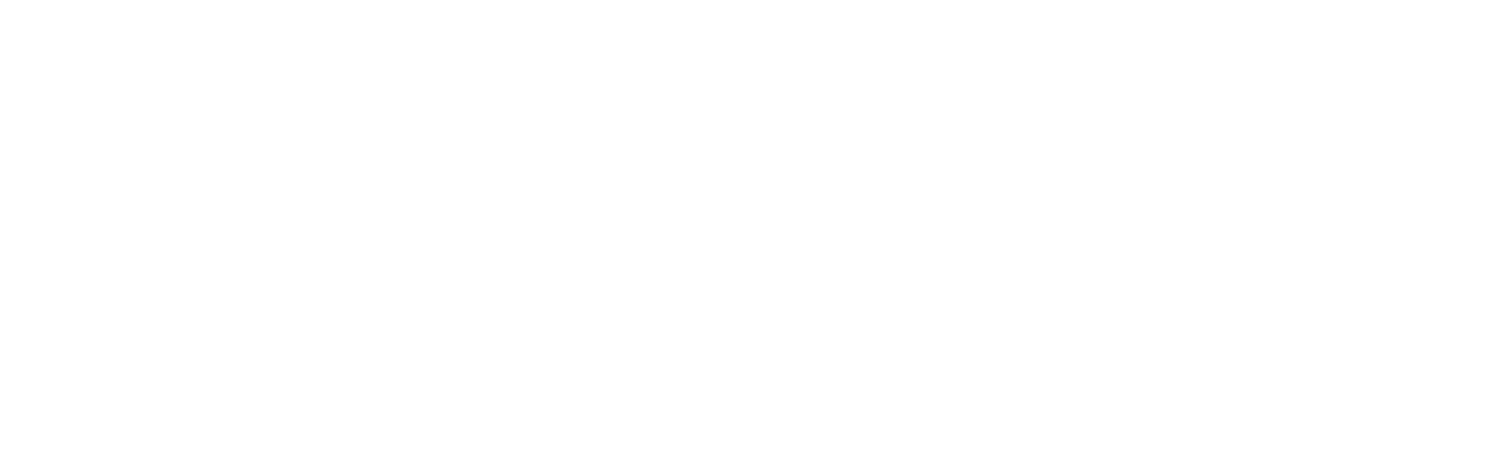 Logo EAGGLE - Le marketing politique 4.0